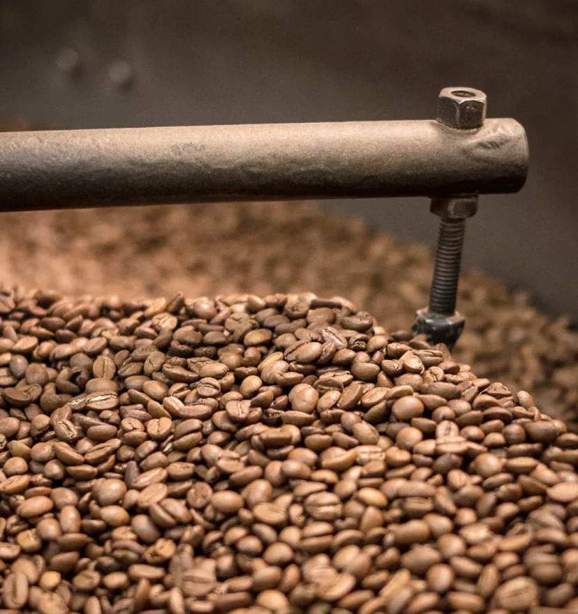 arabica coffee beans