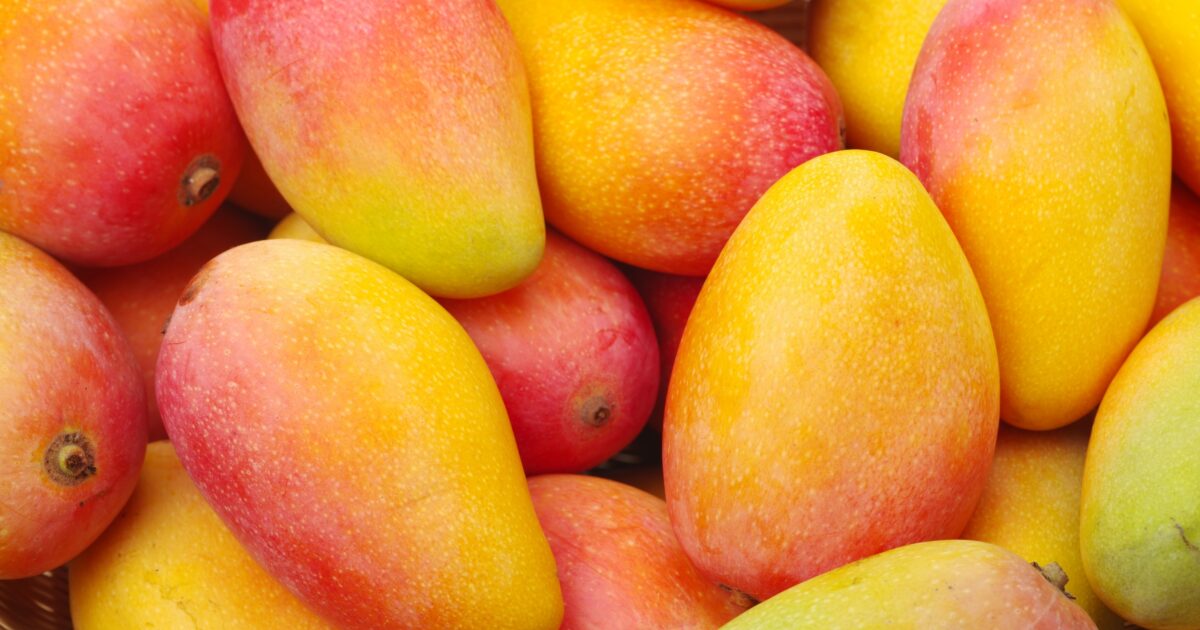 Mangoes - Image 2
