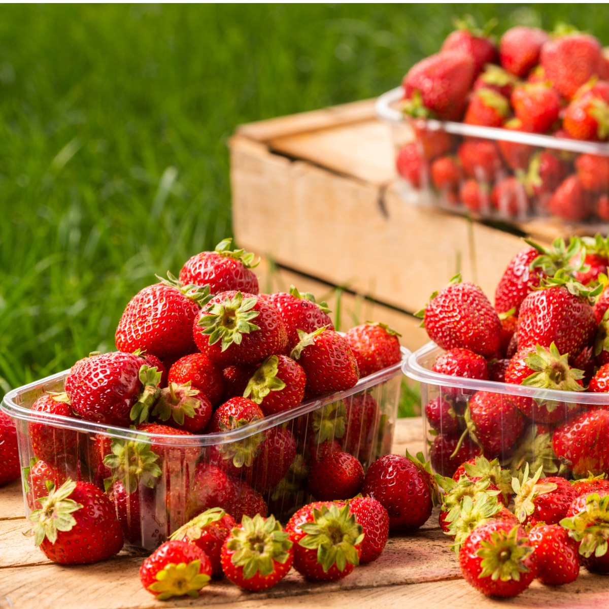 Strawberries - Image 2