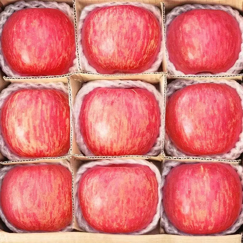 Fresh Apples - Image 2