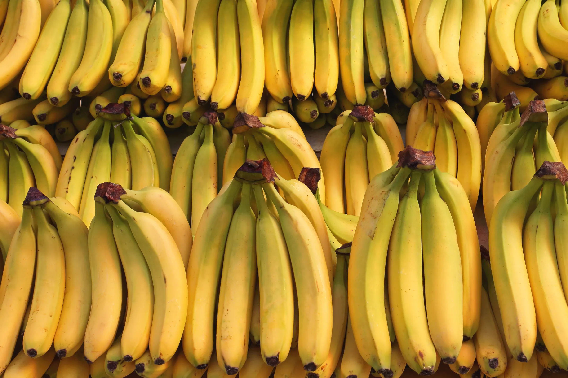 Fresh Bananas