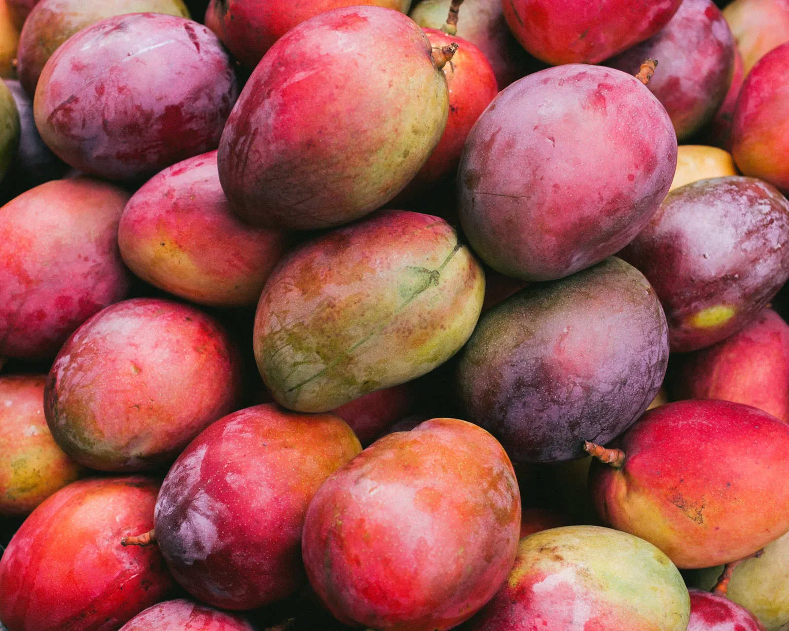 Mangoes - Image 3