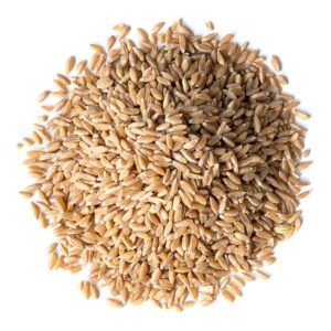 Organic Spelt Berries