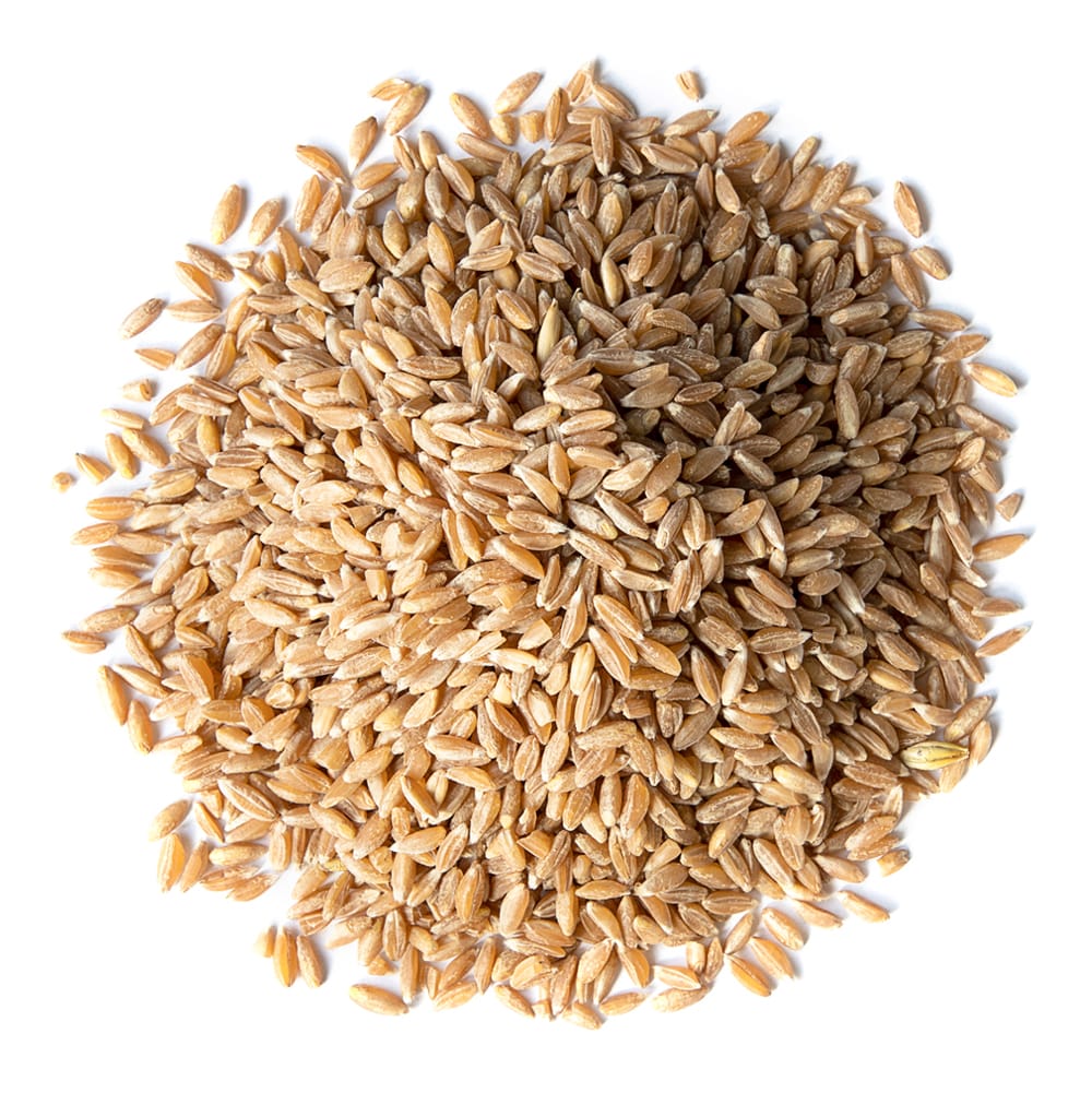 Organic Spelt Berries