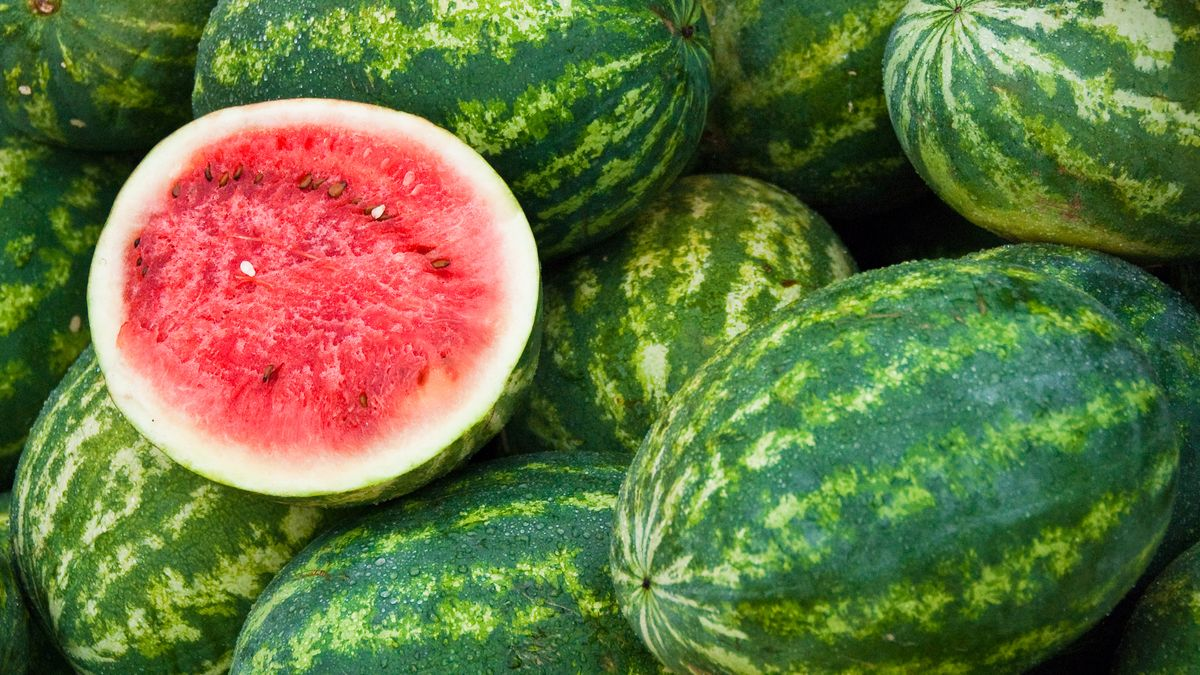 Fresh Watermelons - Image 2