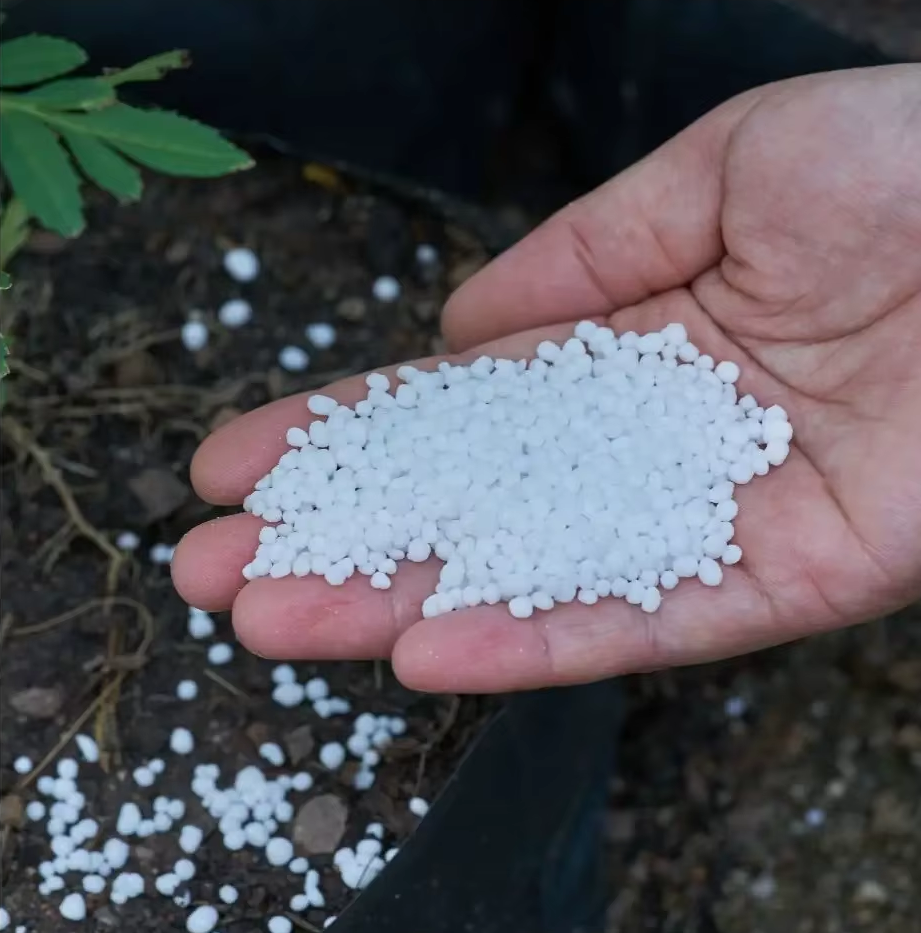 PRILLED UREA 46% N - Image 2