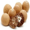 Betel-Nuts