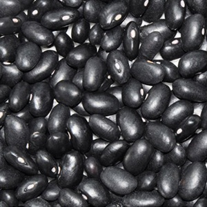Black-Kidney-Beans