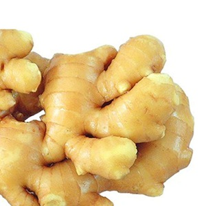 Fresh-Ginger Fresh-Ginger