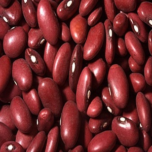 Red-Kidney-Beans