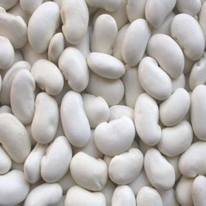 White-Kidney-Beans